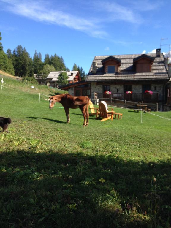 Agriturismo Il Fiocco Cesana Torinese Luaran gambar